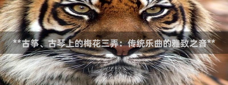 凯发k8娱乐官网入