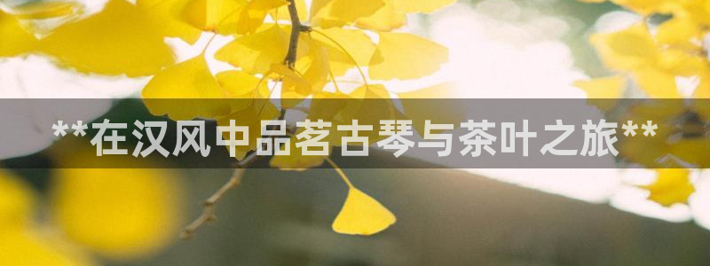 凯发app平台