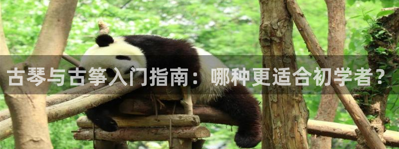 凯发k8娱乐平台网址