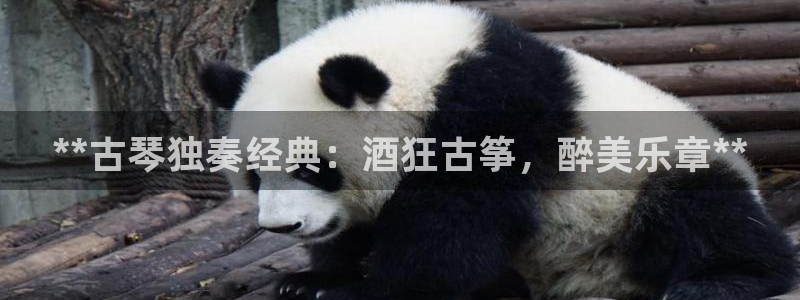 凯发在线平台官方网站