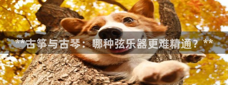 凯发k8客户端