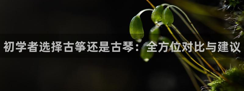 凯发旗舰平台