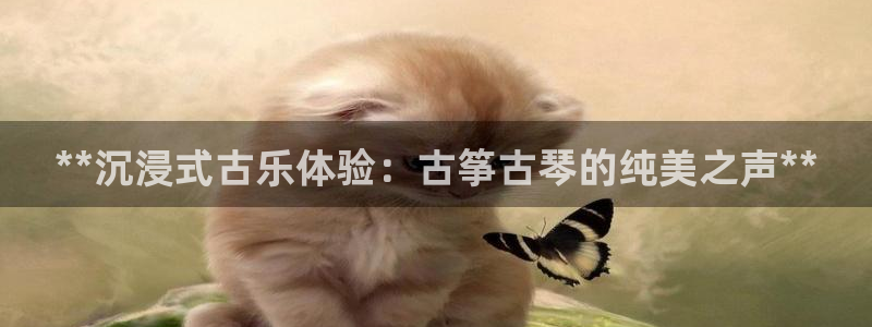 凯发k8国际版官网