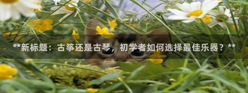 凯发k8娱乐官网入