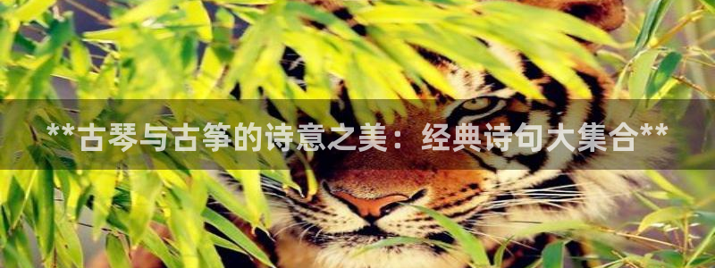 凯发k8娱乐旗舰app下载