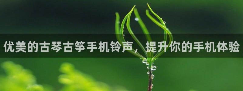 凯发旗舰客户端
