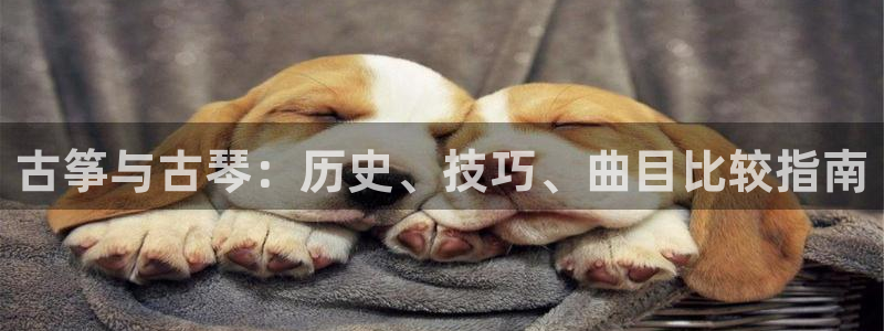 凯发k8网站是多少