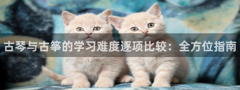 凯发k8娱乐是国内平台?