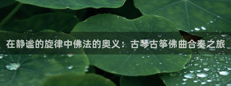 k8凯发官方找就送38