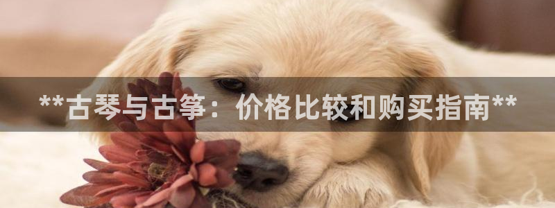 凯发线上官方网站下载网址