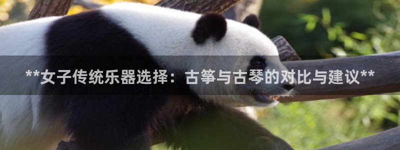 凯发国际是什么投资平台