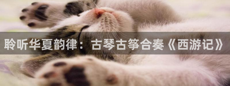 凯发国际网站
