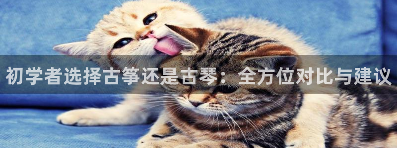 凯发k8ag85856