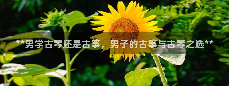 k8凯发是做什么的