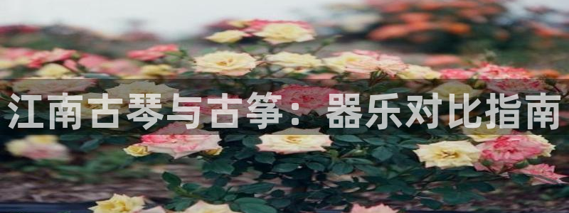 凯发k8娱乐真人旗舰厅客服