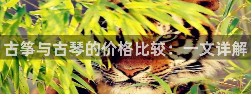 凯发k8官网so选来就送38