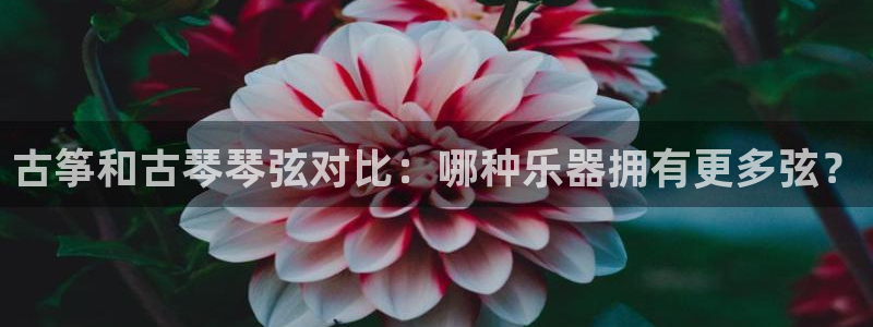 凯发官网入口首页