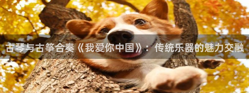 凯发国际亚洲有限公司