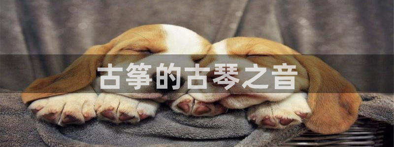 凯发注册app在线