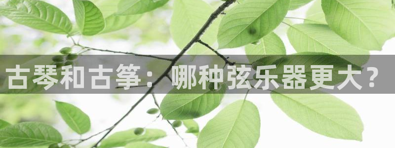 凯发国际是什么