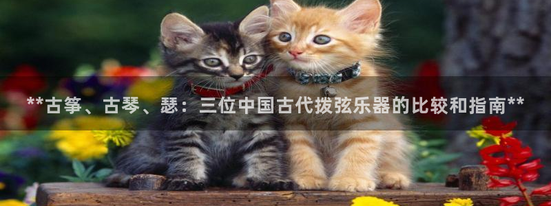 凯发国际平台官网
