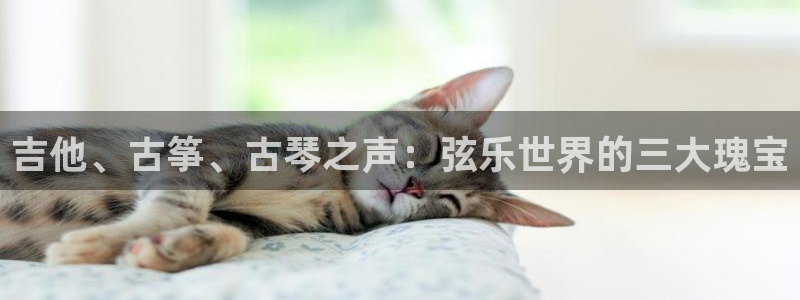 凯发k8娱乐平台下载