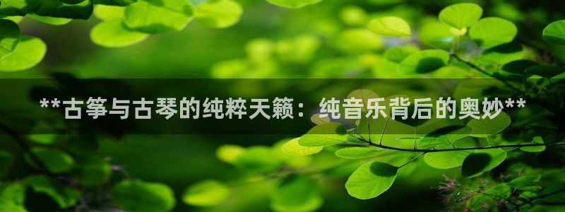 凯发网站是多少