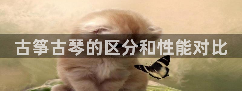 凯发官方网站是多少