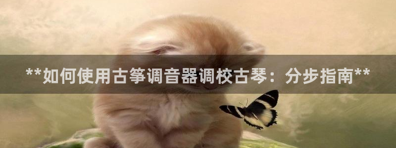 凯发国际真人