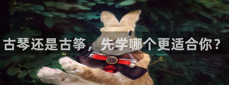 凯发官网入口首页