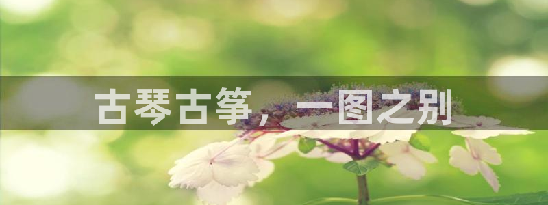 凯发k8国际app