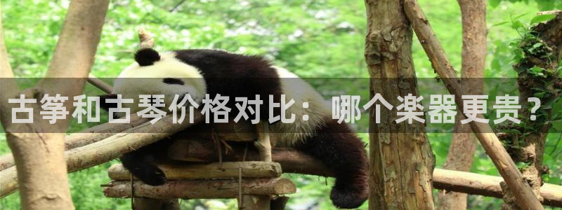 凯发国际网址官网查询