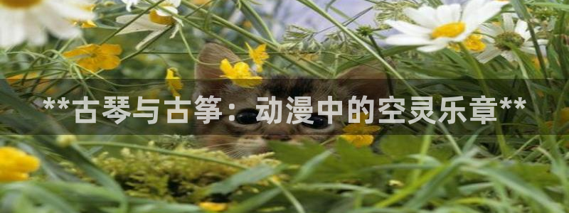 凯发k8官方网娱乐官方