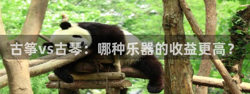 凯发国际网站官网