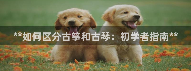 凯发k8旗舰厅app下载可靠送38元