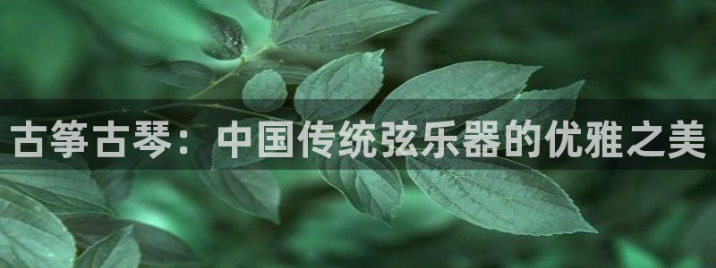 凯发k8app下载