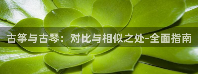 凯发k8官方