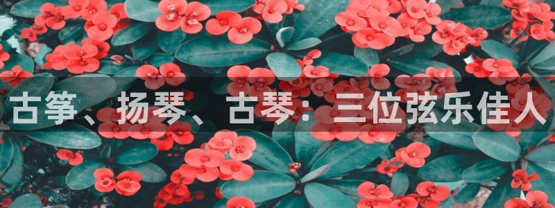 凯发国际app下载