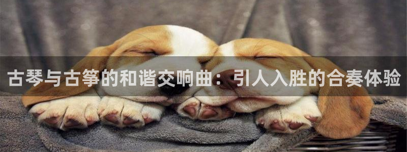 凯发k8娱乐倒闭了吗