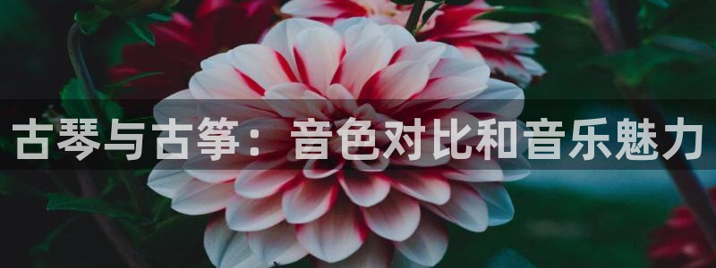 凯发k8娱乐品牌导航