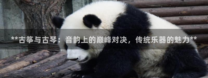 凯发国际网站首页