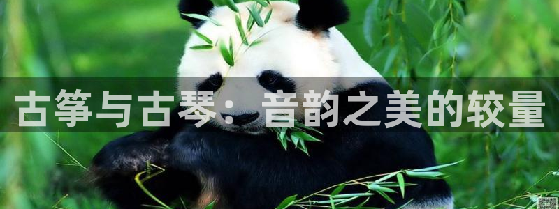 凯发k8官方