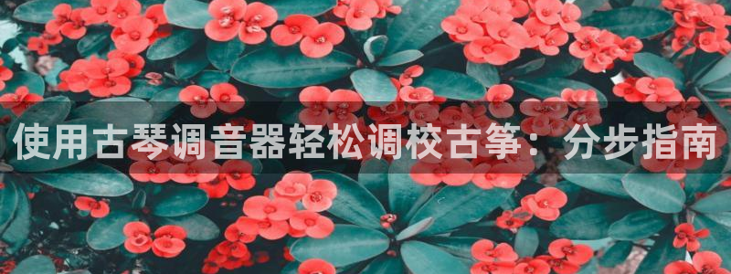 凯发k8555|手机版