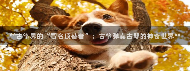 凯发k8官方