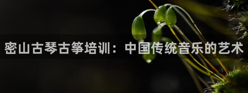凯发娱乐唯一官网