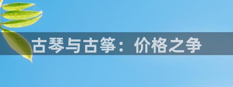 凯发k8ag85856