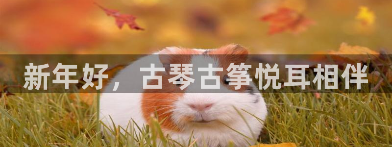 凯发k8旗舰厅手机下载