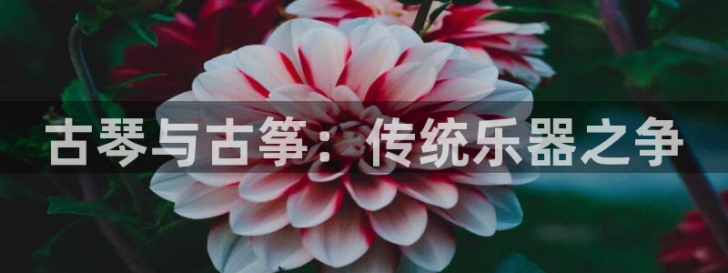凯发k81111国际真人版
