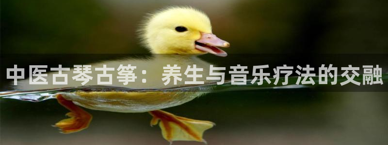 凯发k8网站是多少