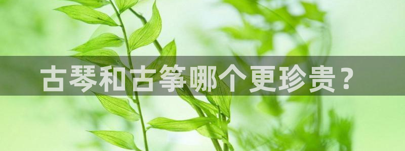 凯发k8娱乐官方下载